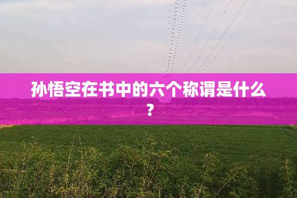 孙悟空在书中的六个称谓是什么？