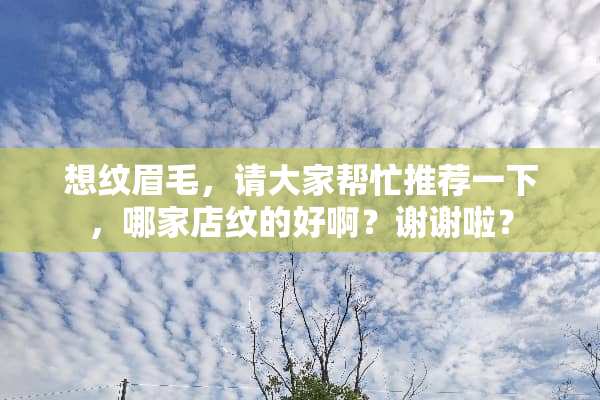 想纹眉毛，请大家帮忙推荐一下，哪家店纹的好啊？谢谢啦？