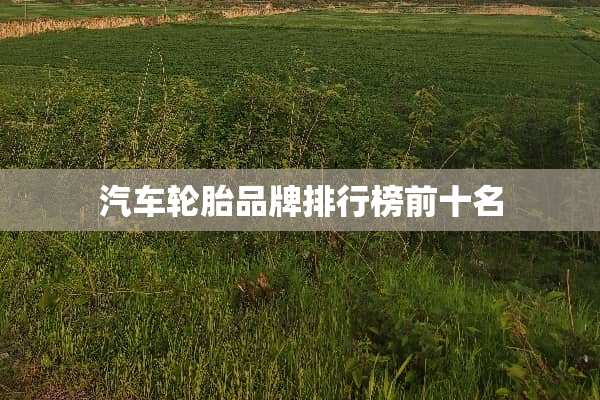 汽车轮胎品牌排行榜前十名