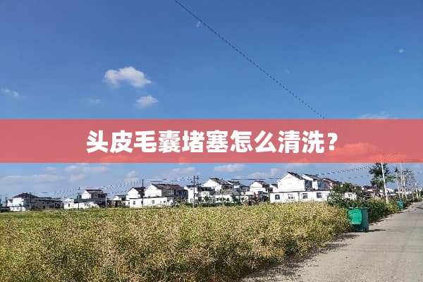 头皮毛囊堵塞怎么清洗？