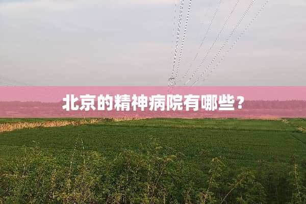 北京的精神病院有哪些？