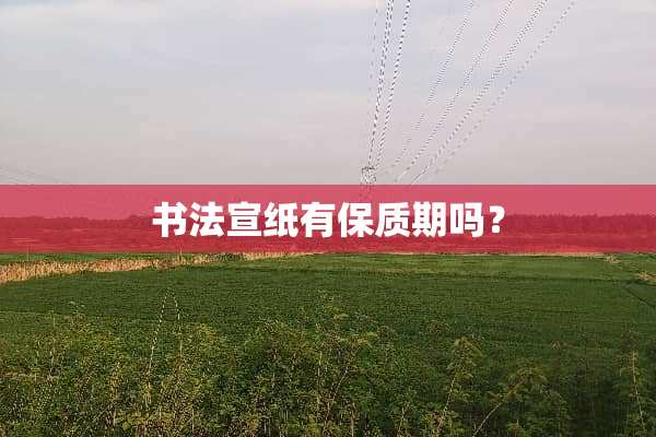 书法宣纸有保质期吗？