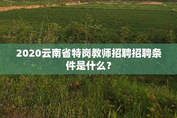 2020云南省特岗教师招聘招聘条件是什么？