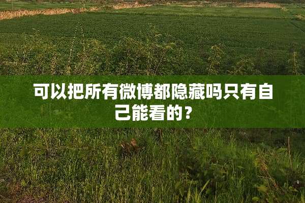 可以把所有微博都隐藏吗只有自己能看的？