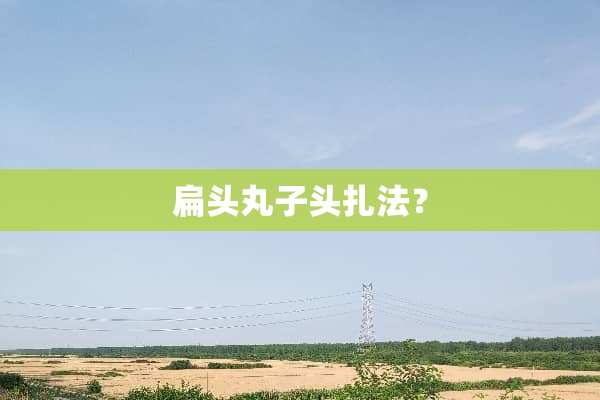 扁头丸子头扎法？