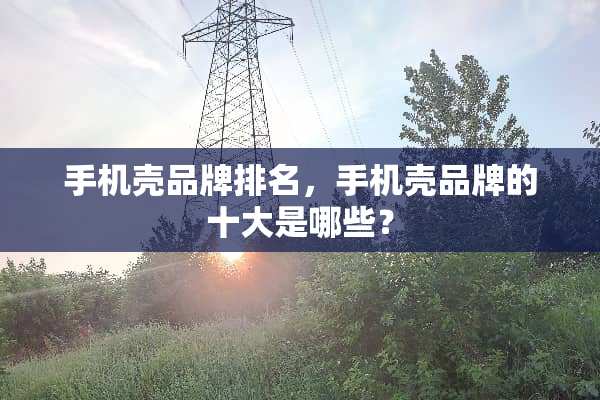 手机壳品牌排名，手机壳品牌的十大是哪些？