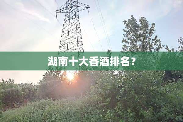 湖南十大香酒排名？