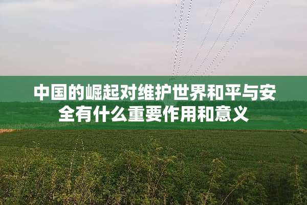 中国的崛起对维护世界和平与安全有什么重要作用和意义