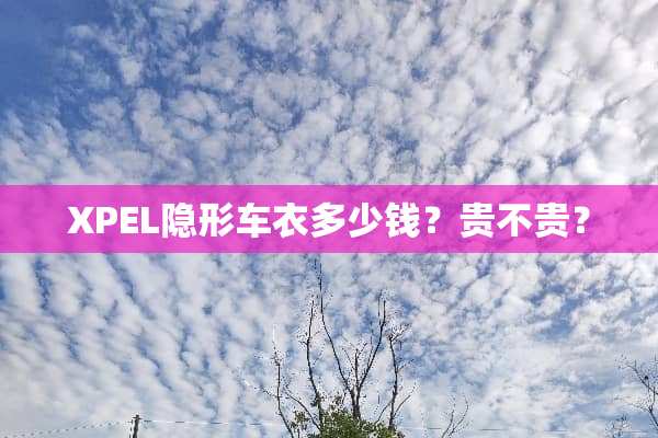 XPEL**车衣多少钱？贵不贵？
