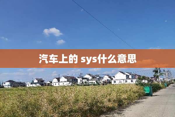 汽车上的 sys什么意思