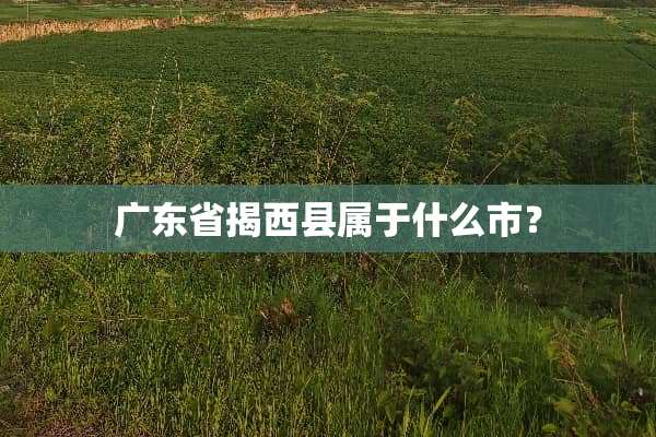 广东省揭西县属于什么市？