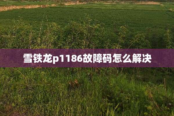 雪铁龙p1186故障码怎么解决