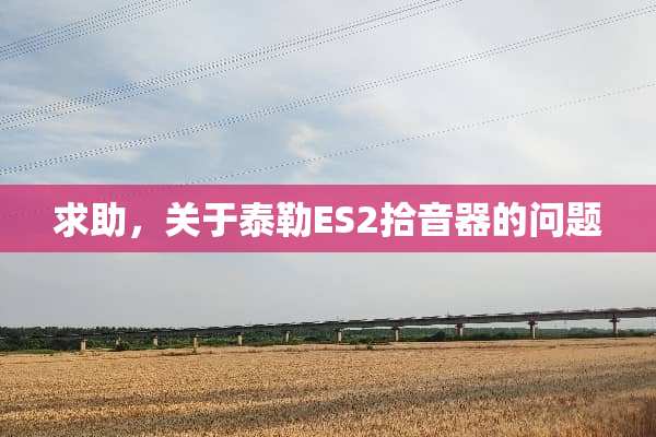 求助，关于泰勒ES2拾音器的问题