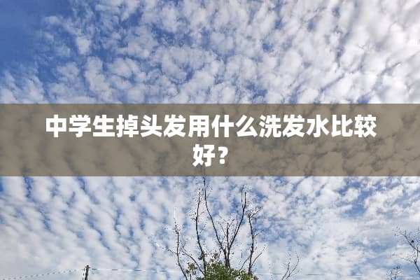 中学生掉头发用什么洗发水比较好？