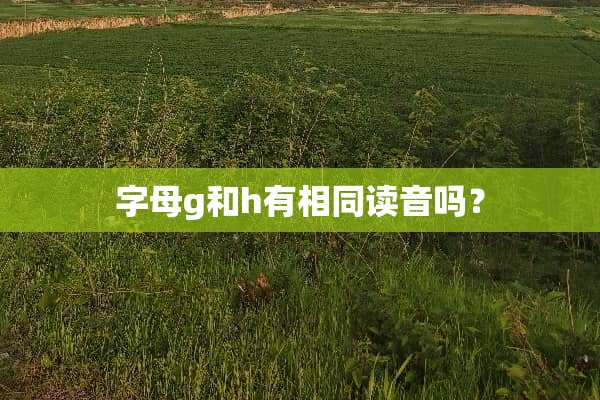 字母g和h有相同读音吗？