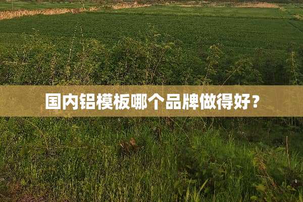 国内铝模板哪个品牌做得好？