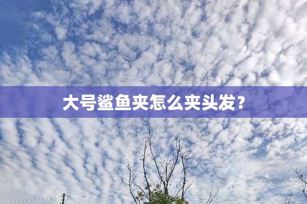 大号鲨鱼夹怎么夹头发？