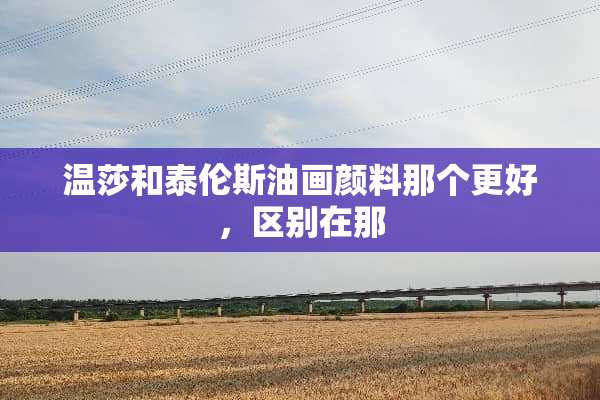 温莎和泰伦斯油画颜料那个更好，区别在那