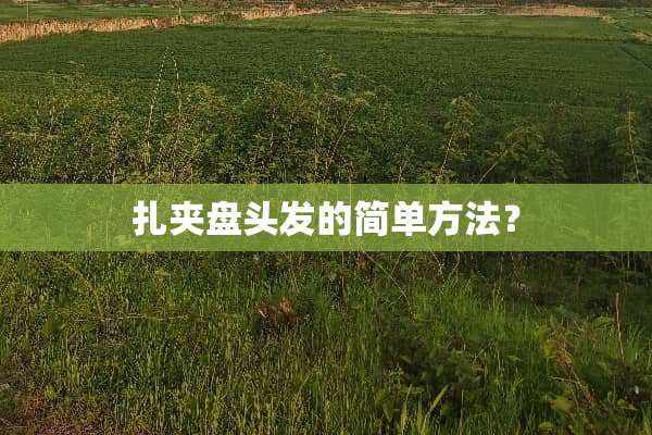 扎夹盘头发的简单方法？