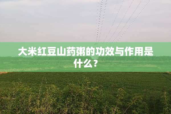 大米红豆山药粥的功效与作用是什么？