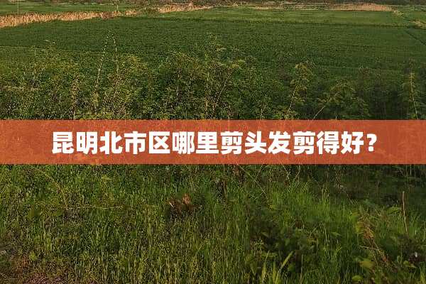 昆明北市区哪里剪头发剪得好？