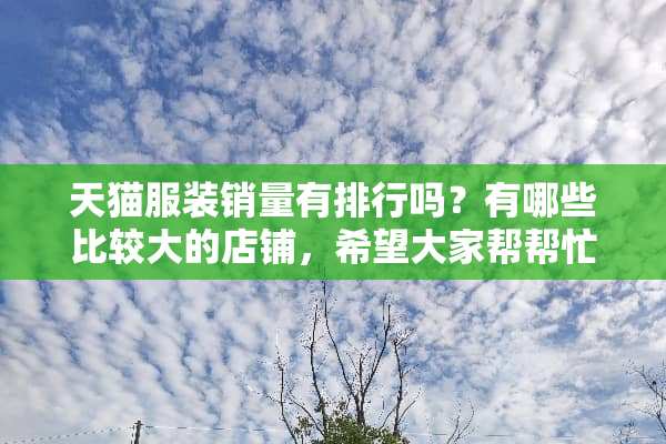 天猫服装销量有排行吗？有哪些比较大的店铺，希望大家帮帮忙？
