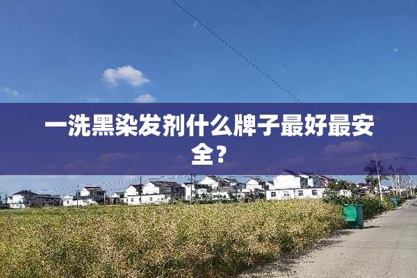一洗黑染发剂什么牌子最好最安全？