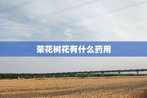 荣花树花有什么药用