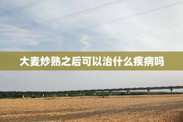 大麦炒熟之后可以治什么疾病吗