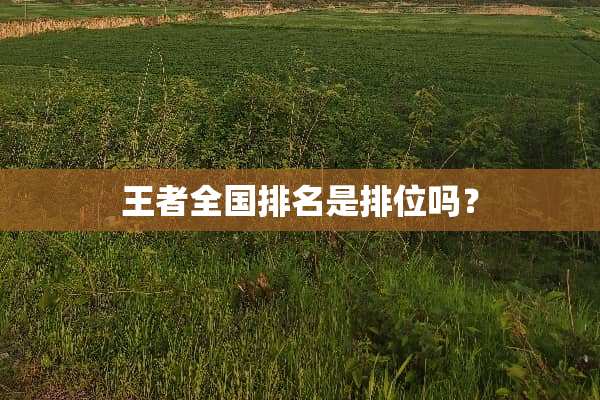 王者全国排名是排位吗？