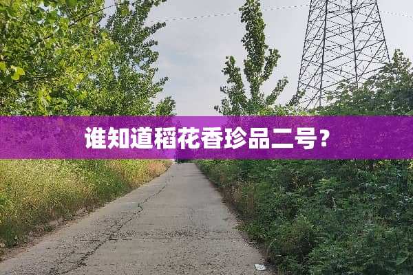 谁知道稻花香珍品二号？