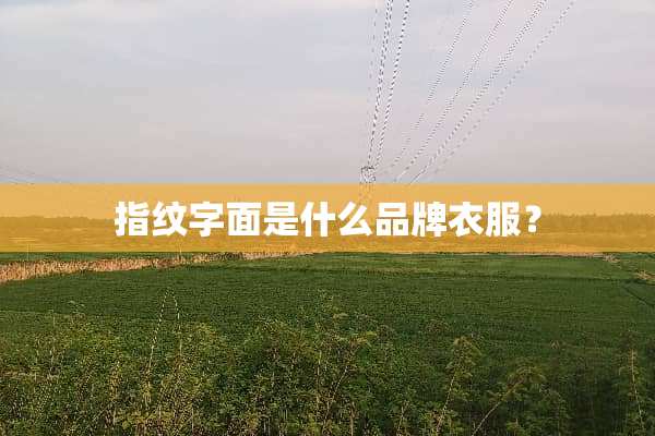 指纹字面是什么品牌衣服？