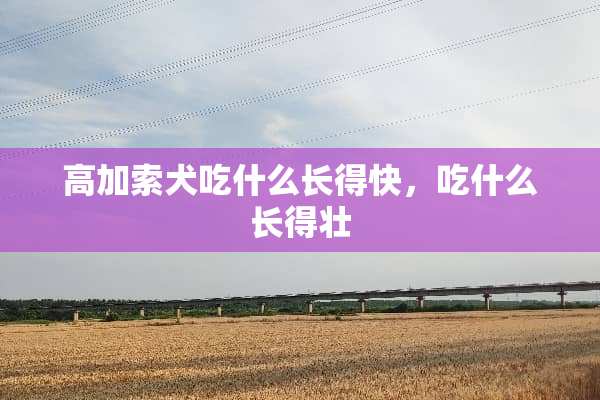 高加索犬吃什么长得快，吃什么长得壮