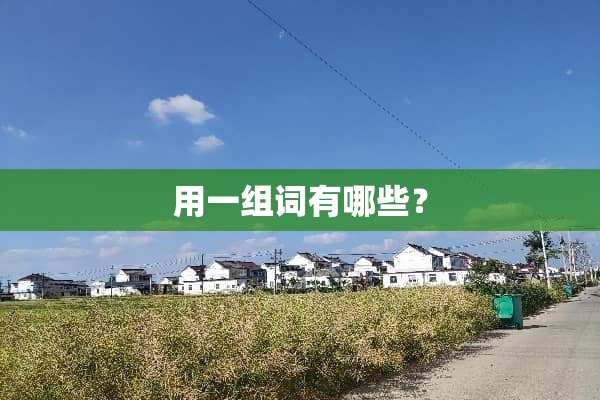 用一组词有哪些？