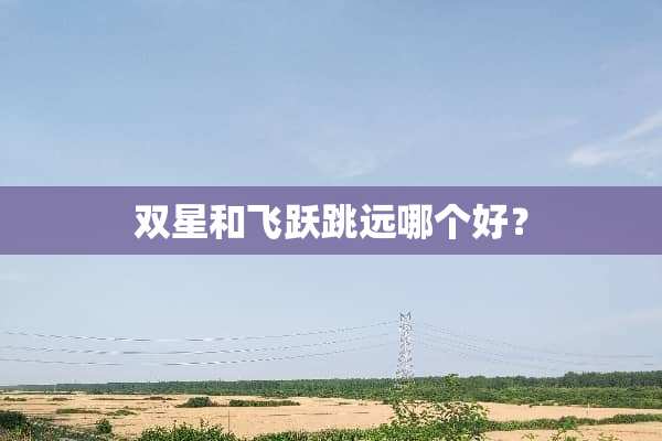 双星和飞跃跳远哪个好？