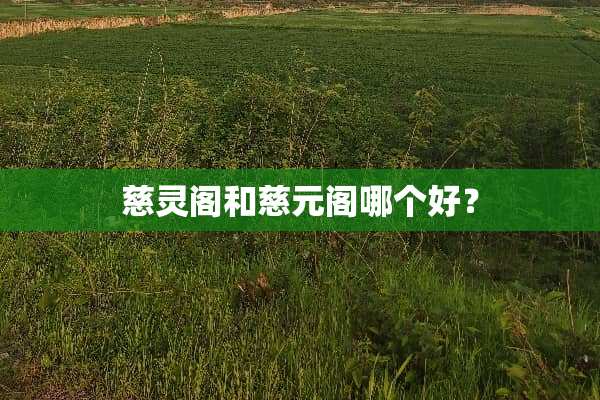 慈灵阁和慈元阁哪个好？