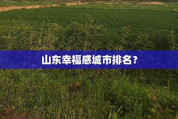 山东幸福感城市排名？