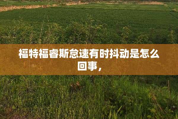 福特福睿斯怠速有时抖动是怎么回事，