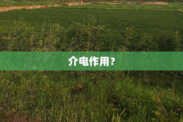 介电作用？