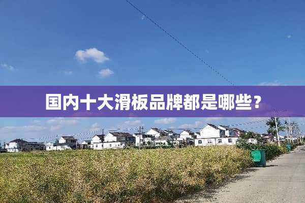 国内十大滑板品牌都是哪些？