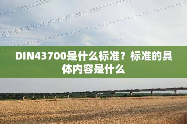 DIN43700是什么标准？标准的具体内容是什么