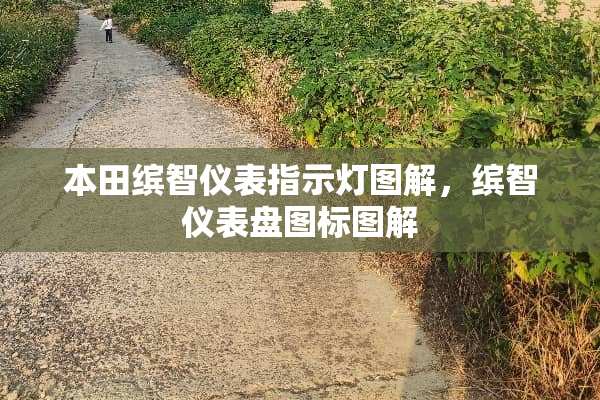 本田缤智仪表指示灯图解，缤智仪表盘图标图解