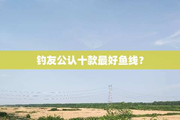 钓友公认十款最好鱼线？