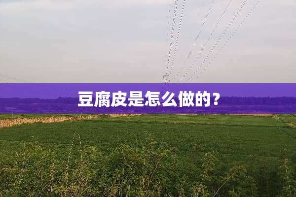 豆腐皮是怎么做的？