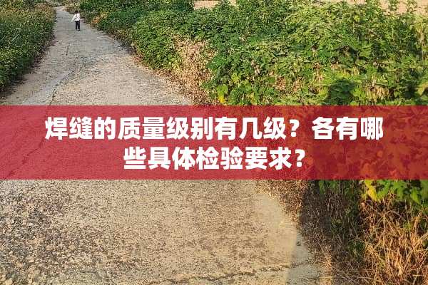 焊缝的质量级别有几级？各有哪些具体检验要求？