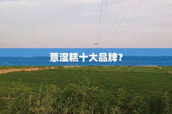 薏湿糕十大品牌？