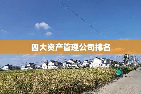 四大资产管理公司排名