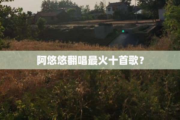 阿悠悠翻唱最火十首歌？