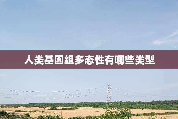 人类基因组多态性有哪些类型