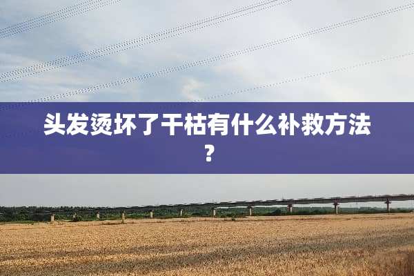 头发烫坏了干枯有什么补救方法？